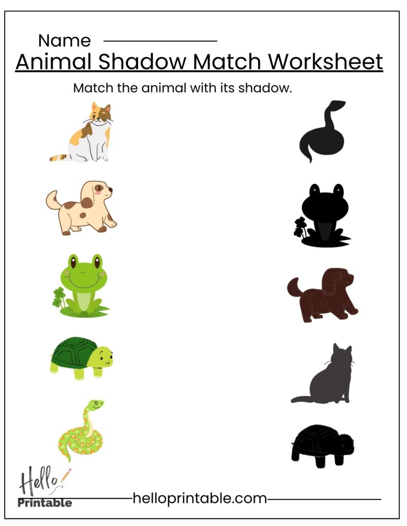 Animals shadow match worksheet. 