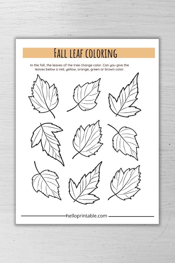 fall leaf coloring 