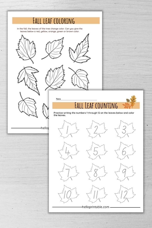 fall leaf coloring and leaf number tracing 