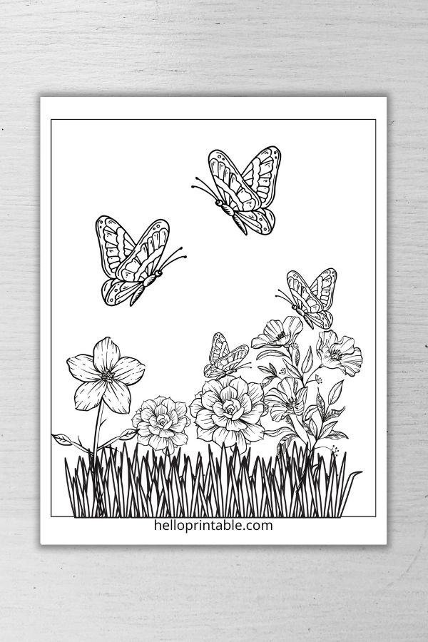butterflies and flowers free coloring page. 