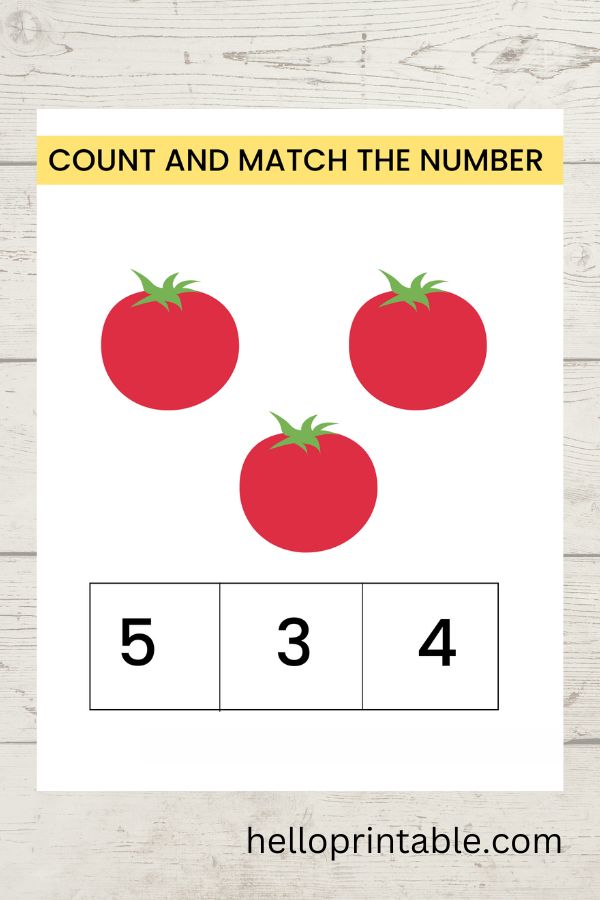 Count and match the number math worksheet 