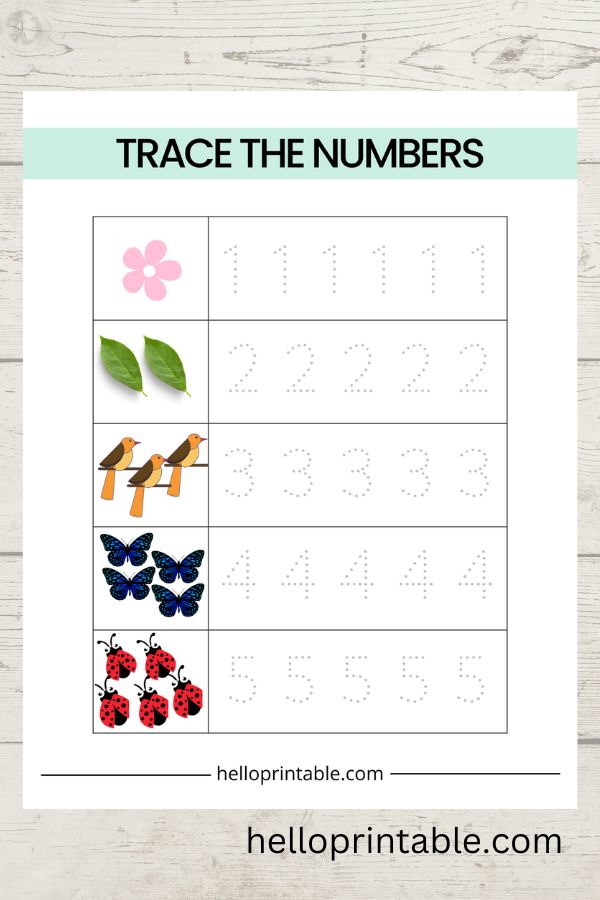 basic-math-worksheets-for-3-to-4-year-olds-helloprintable