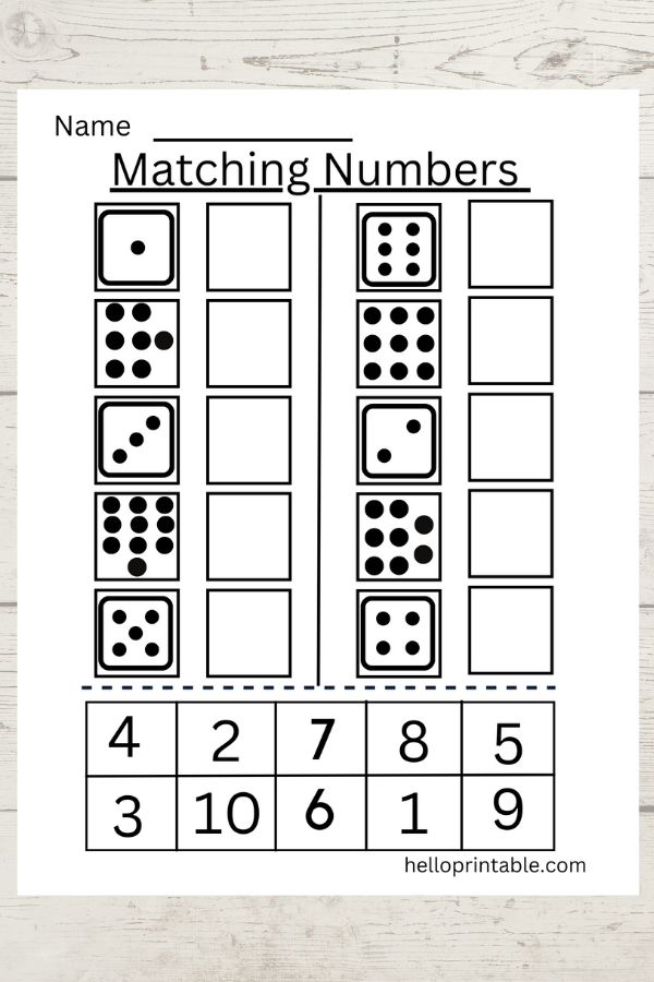 Matching numbers worksheet - cut and glue activity for counting dots and paste the correct number. 