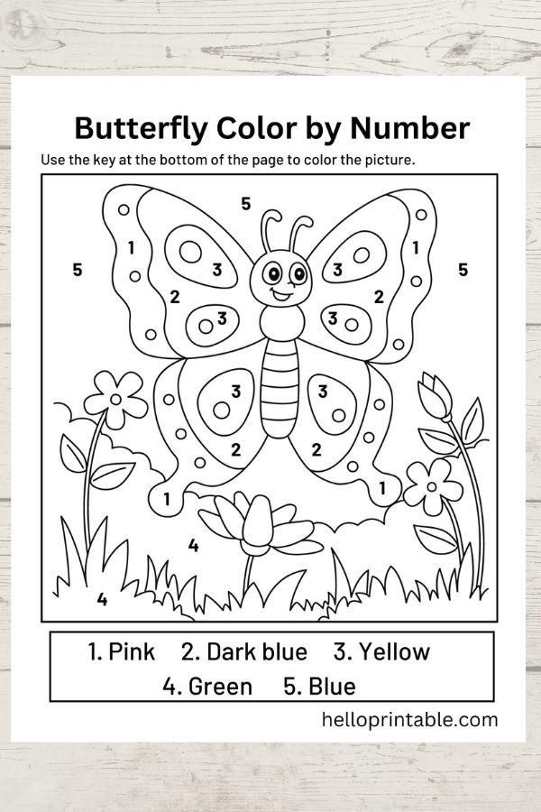 butterfly color by number free coloring sheet printable 