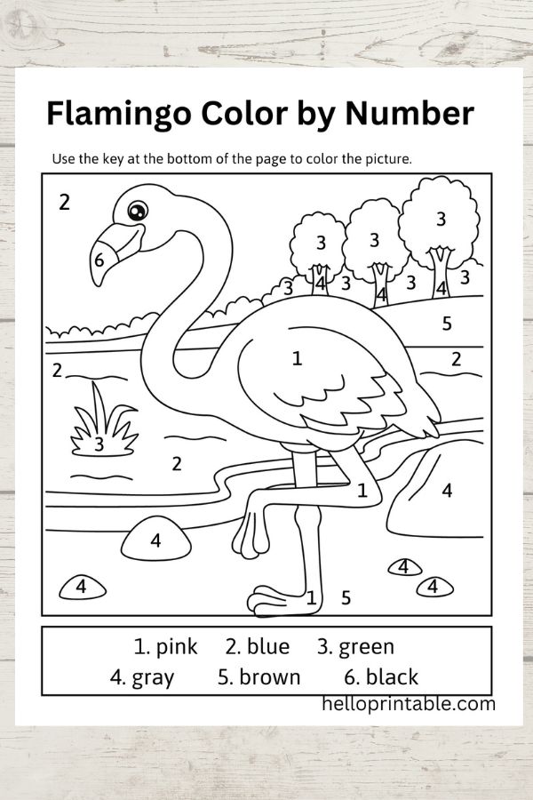 Flamingo color by number free coloring sheet printable - coloring activity for kids 