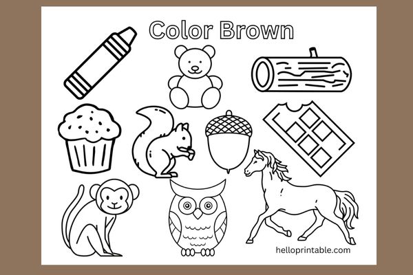 Brown color objects coloring page for preschool and kindergarten kids