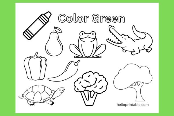 Green color objects coloring page for preschool and kindergarten kids