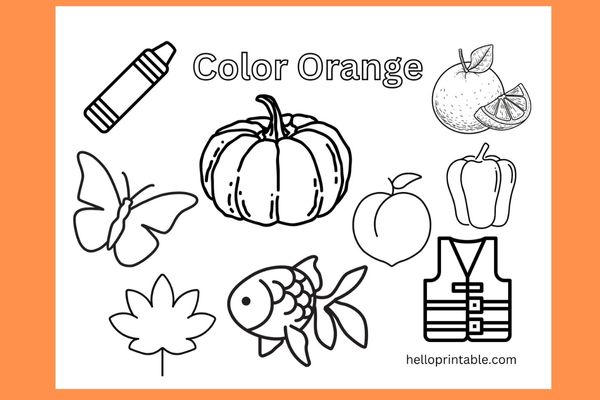 Orange color objects coloring page for preschool and kindergarten kids