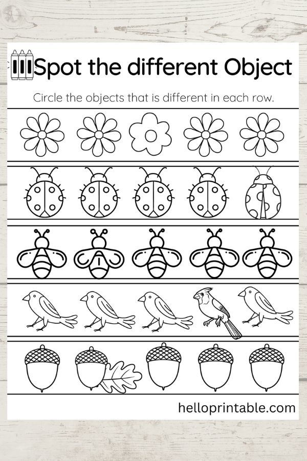 find the different objects in each row. preschool worksheets 