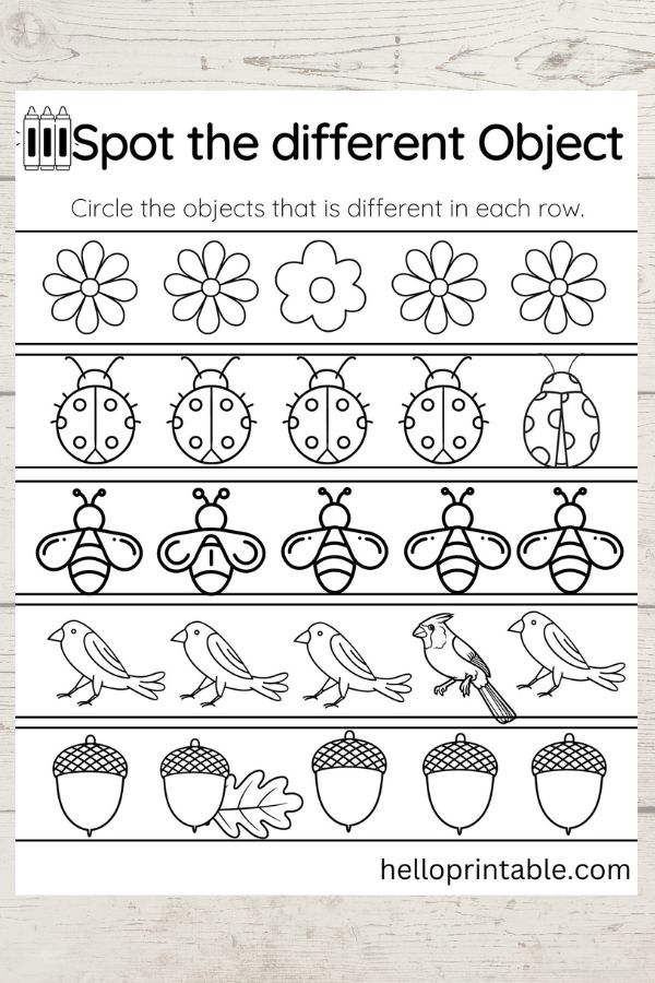 Understanding the Same or different objects worksheets - helloprintable.com