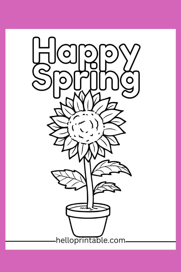Happy spring sunflower in a pot coloring page 