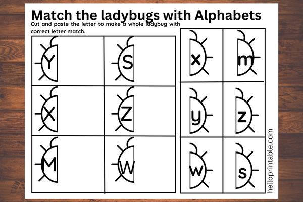 Y, Z, X, S, W, M Letter match cut and glue activity to make a whole ladybug - preschool and kindergarten activity
