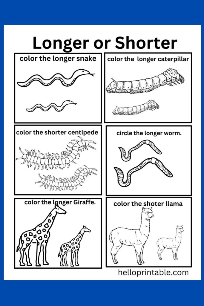 Long or short worksheets for kindergarten - free printable animal comparison worksheet